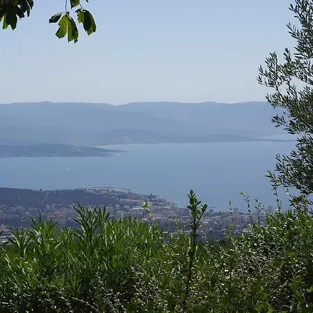 Sanchez Ajaccio (Corsica)